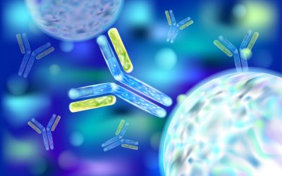 Antibodies Are Soldiers