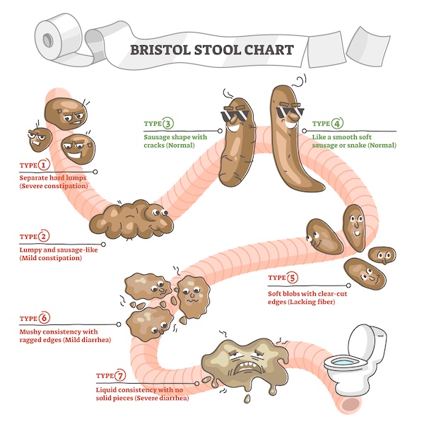Bristol Stool Chart