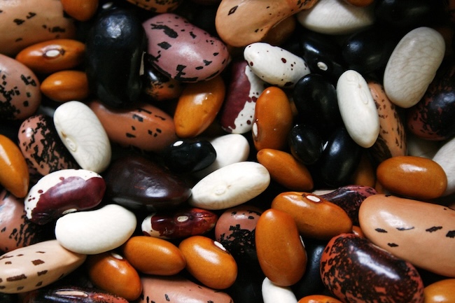 beans22