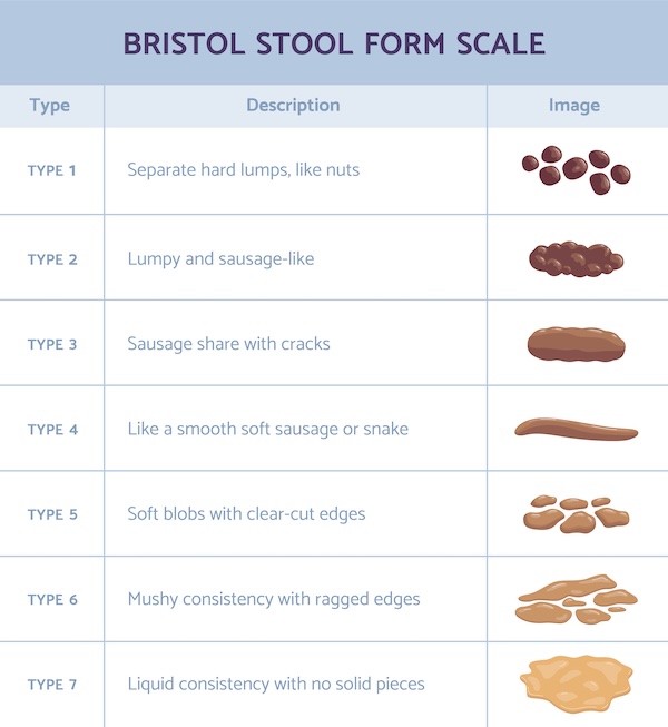 Bristol Stool Form Scale