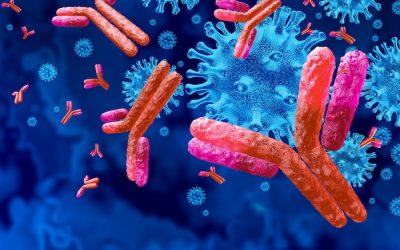 Antigen Recognition