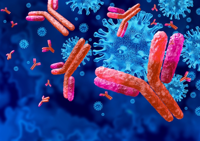 Antigen Recognition